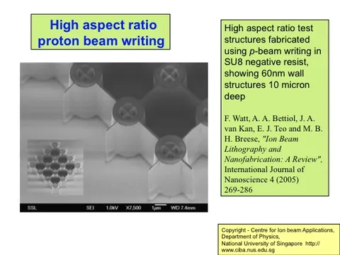 High aspect ratio test structures in SU8 resist: 60 nm walls, 10 µm deep