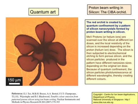 Quantum art: the CIBA orchid in silicon
