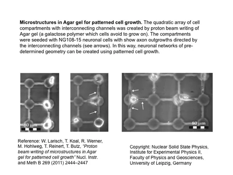 Microstructures in agar gel for patterned cell growth