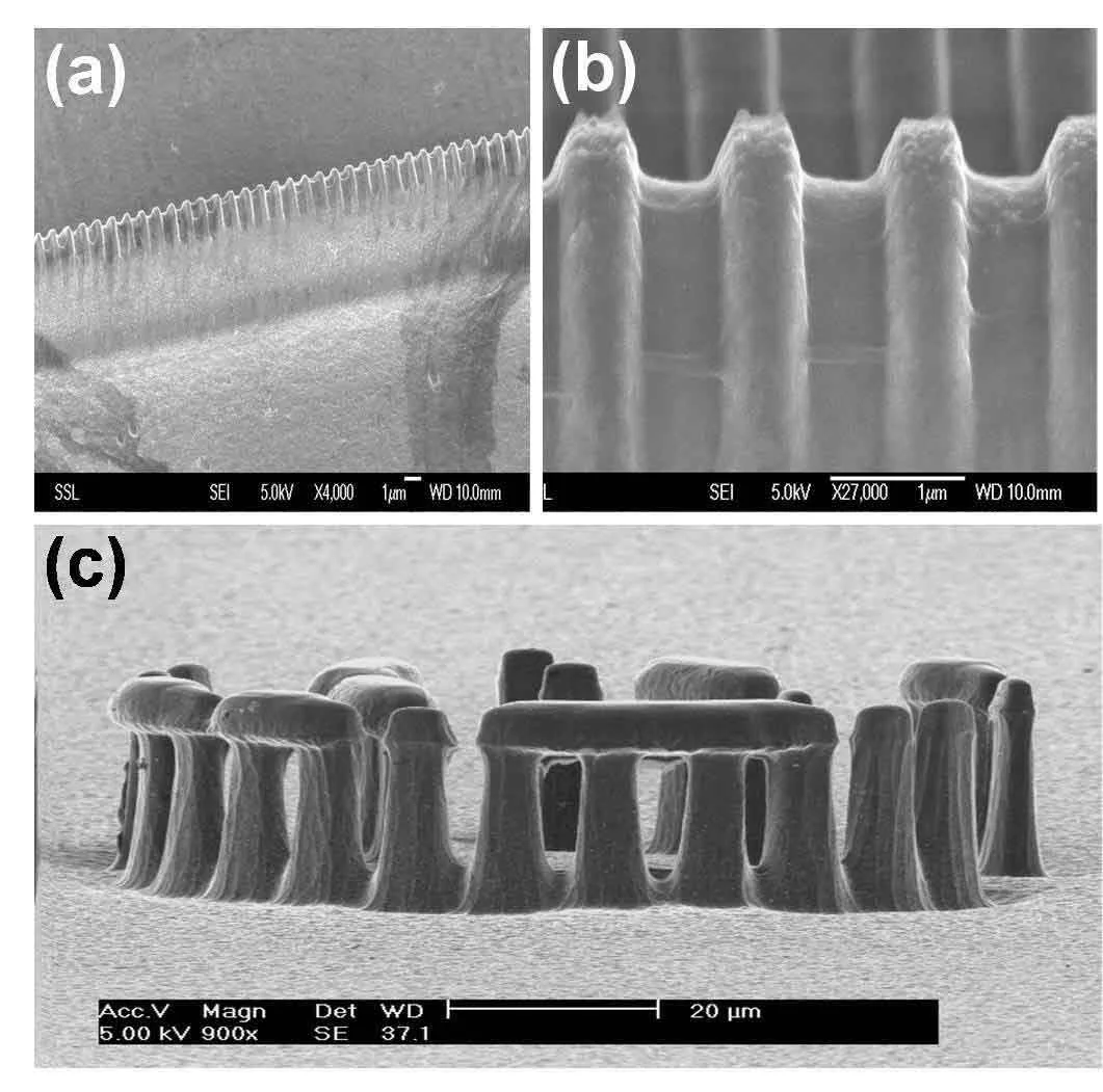 SEM images of a silicon waveguide with a surface grating, and a Stonehenge-like micromachined silicon structure.