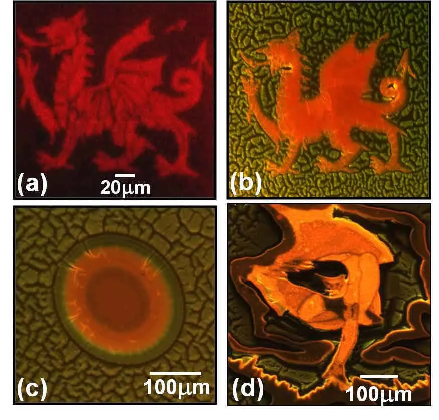 Photoluminescence images: two dragons glowing red and orange, concentric rings shading from red to green, and William Blake's The Ancient of Days reproduced in porous silicon.